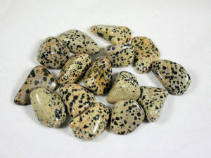 Dalmatian Jasper