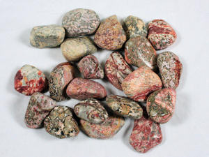 Tumbled Leopardskin Jasper