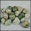 Tree Agate