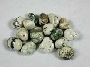 Tumbled Tree Agate