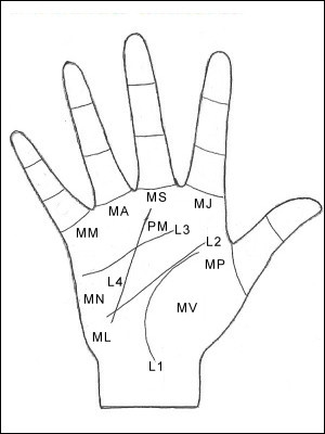 Palmistry