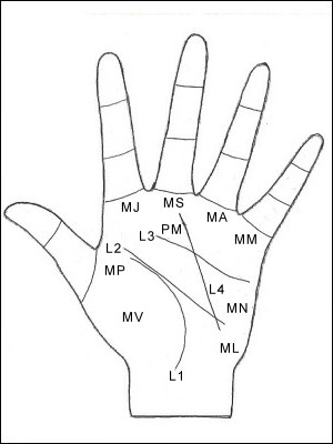 Palmistry